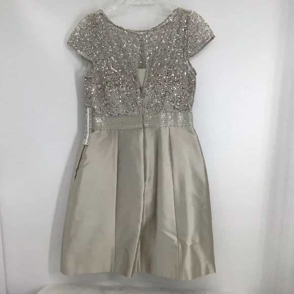 Kay Unger NWT Moir Lace Sequin Lace Wedding Formal Party Dress Silver Size 10 - Picture 3 of 13